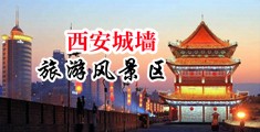 欧美嫩穴21p中国陕西-西安城墙旅游风景区